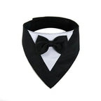The Nova Luxe Tie | Accessories