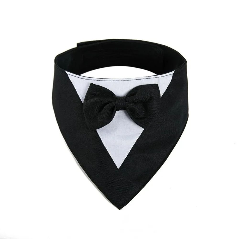 The Nova Luxe Tie | Accessories