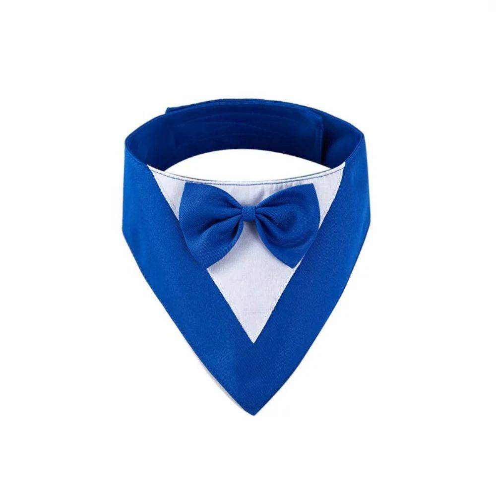 The Nova Luxe Tie | Accessories