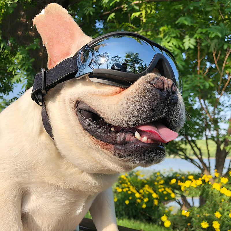 In the Wind Goggles | Sunglasses
