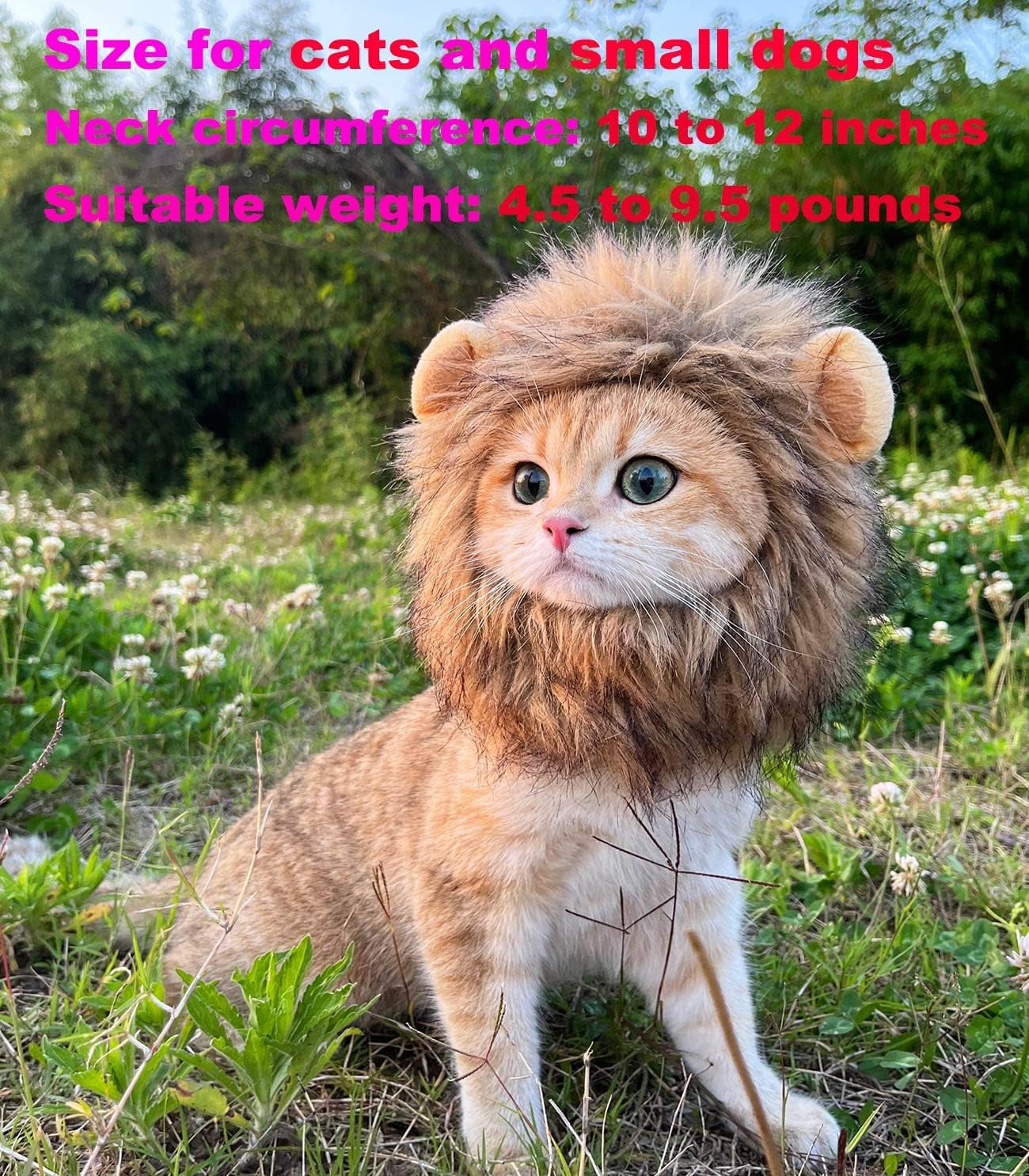 Little Lion Mane | Accessories