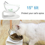 Cat Lover | Pet Bowl