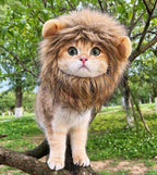 Little Lion Mane | Accessories