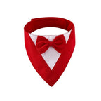 The Nova Luxe Tie | Accessories
