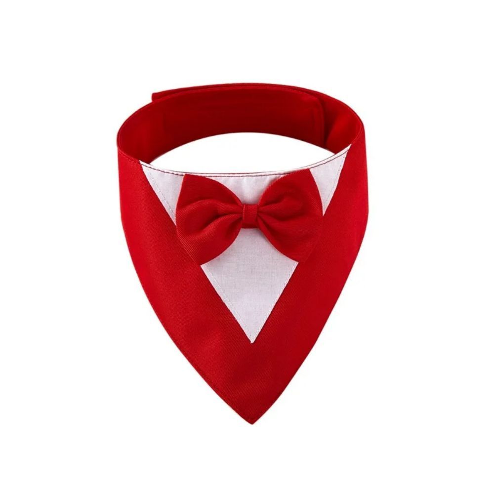 The Nova Luxe Tie | Accessories
