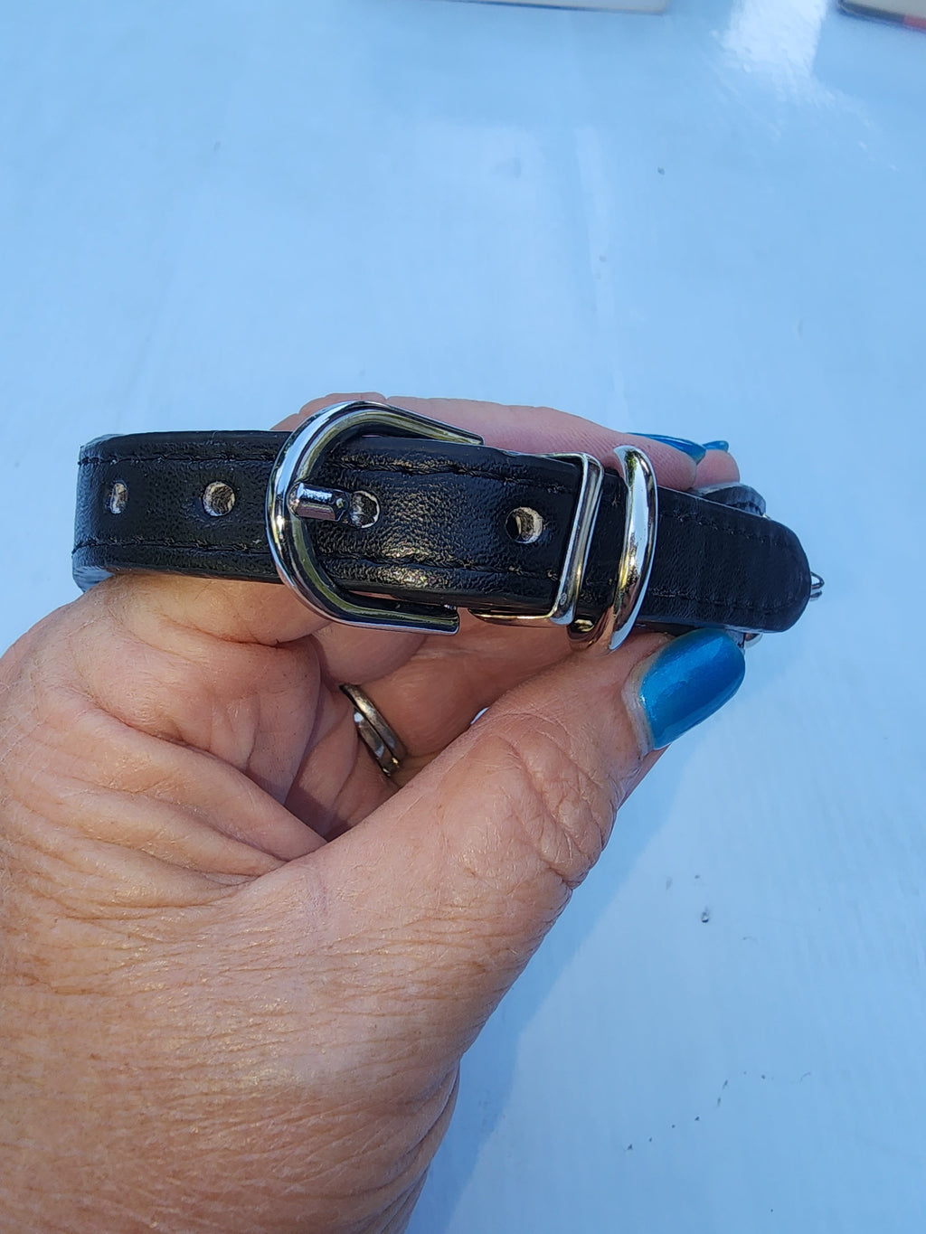 Rock & Roll | Pet Collar