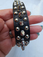 Rock & Roll | Pet Collar