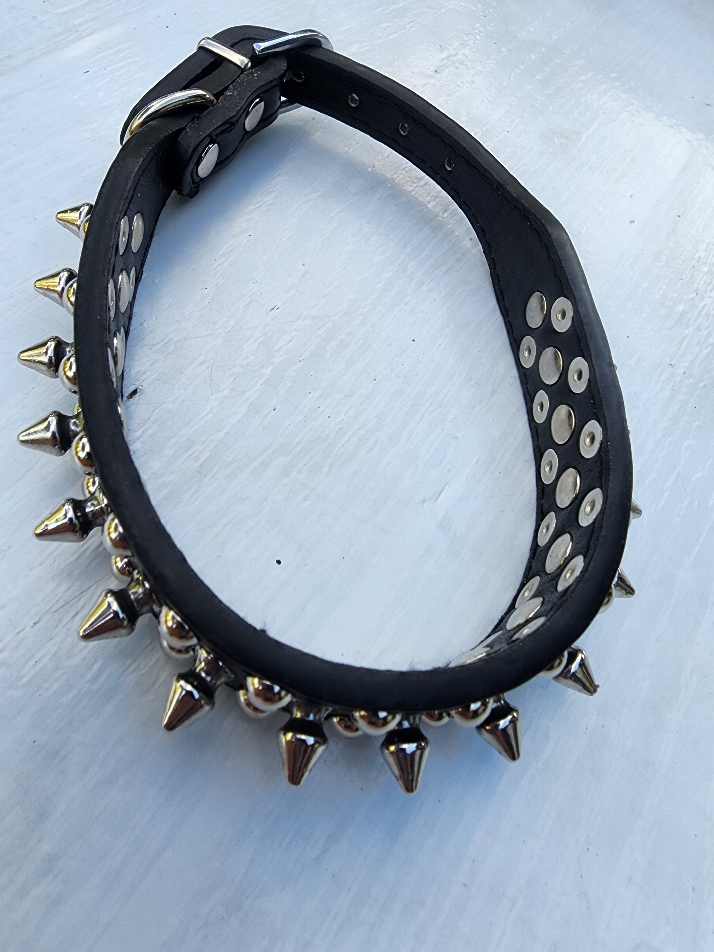 Rock & Roll | Pet Collar